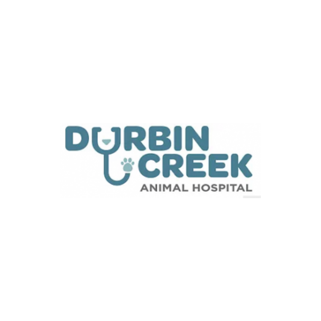 Durbin Creek Animal Hospital Kitten Krusader