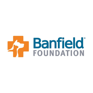 Foundations Banfield