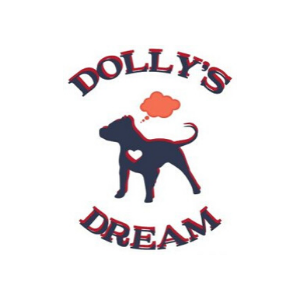 Foundations Dollys Dream