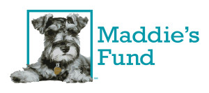 maddies fund horizontal color 1 300x133 1