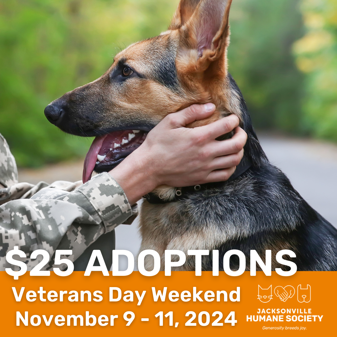 Veterans Day Adoption Event