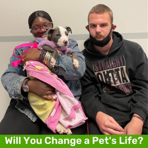 Change a Pets Life Day Event Image