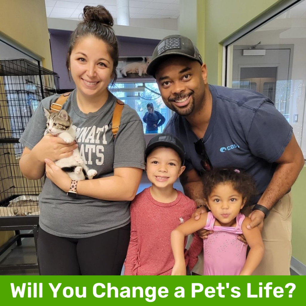 Change a Pets Life Day Featured Image