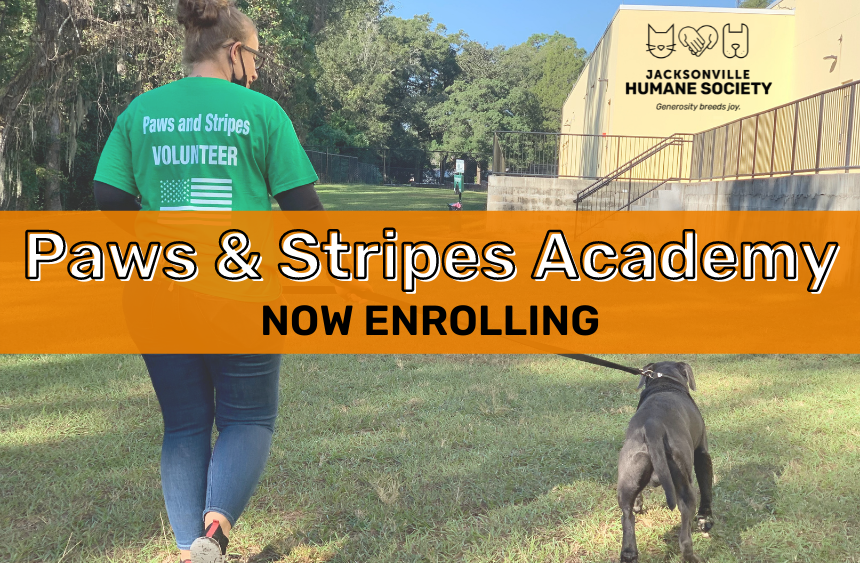 Paws and Stripes Academy Featured Image