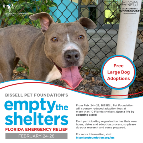 BISSEL Pet Foundation Empty the Shelters Adoption Event