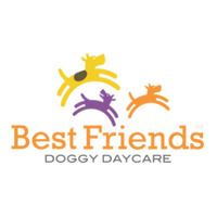 PP Best Friends Doggy Daycare