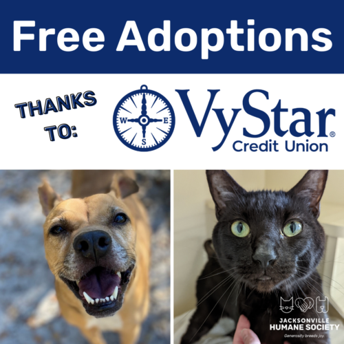 VyStar Free Adoptions April