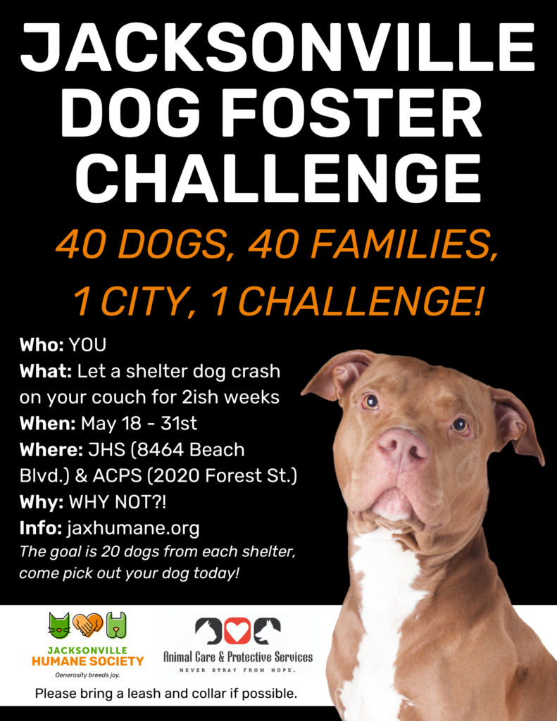 Jacksonville DOG FOSTER CHALLENGE