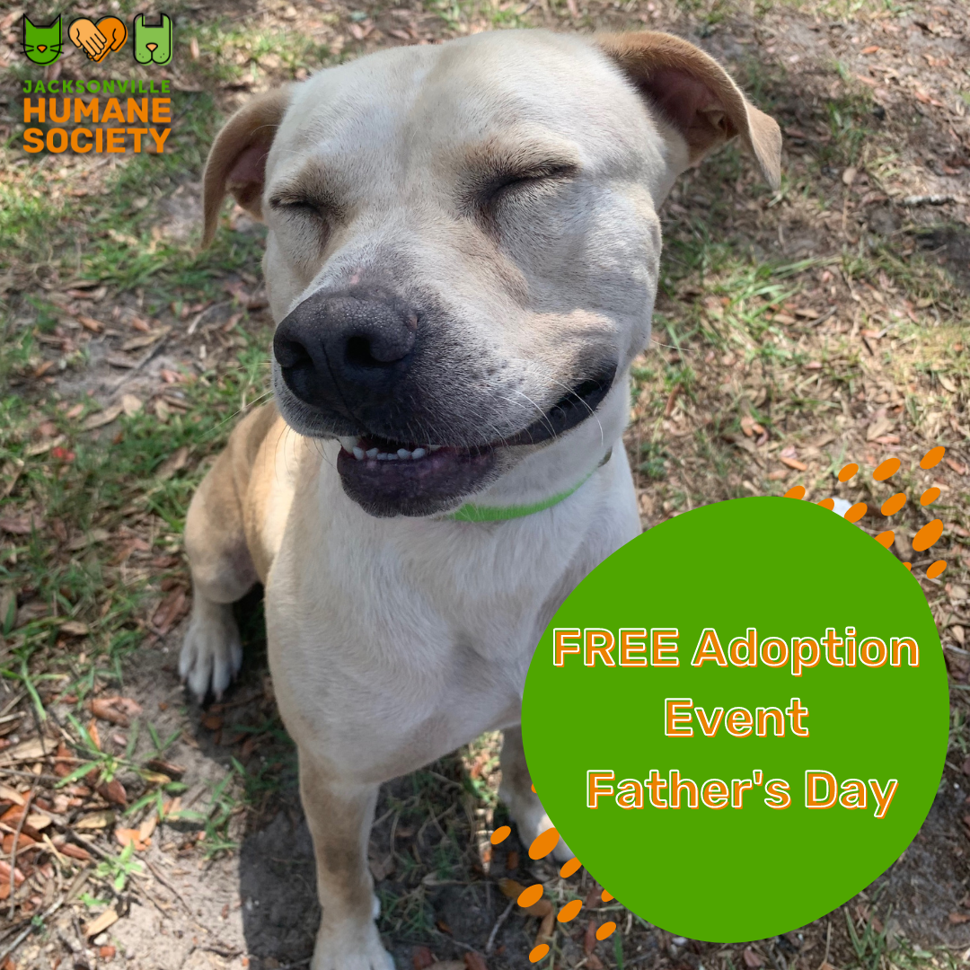 FREE Adoption Event Fathers Day Dog