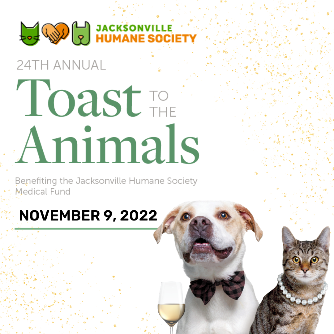 Toast Event November Date