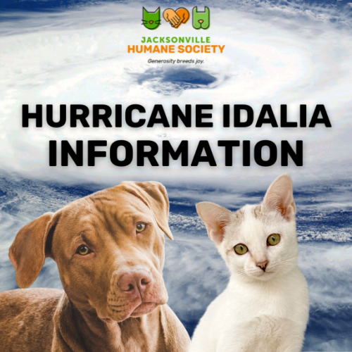 Hurricane Idalia News Post