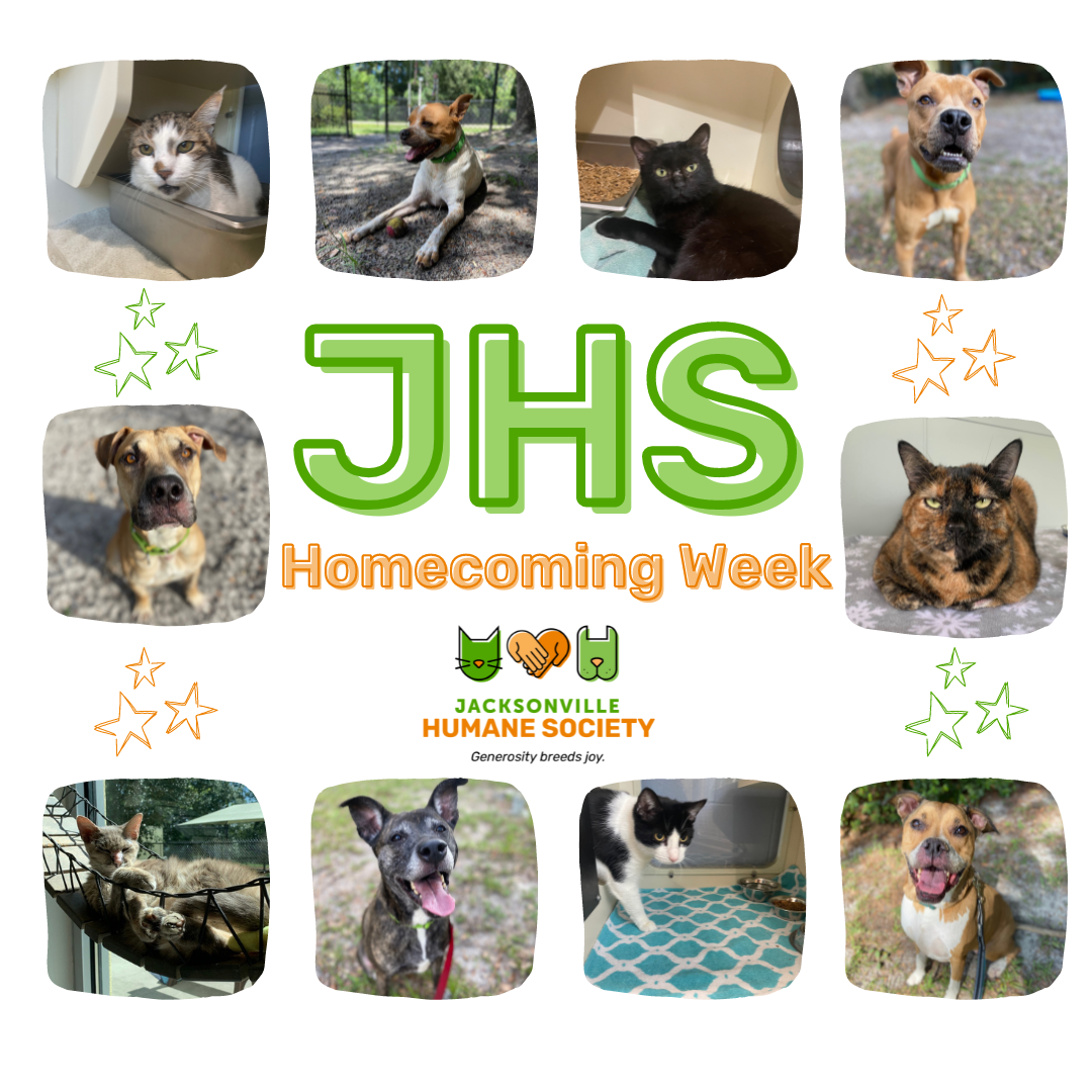 JHS Website Image