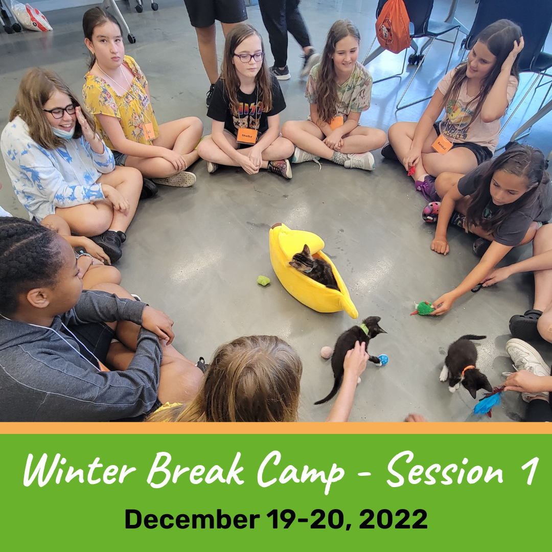 Winter Break Camp Session Event Image