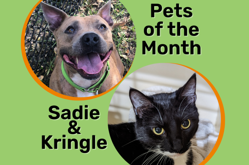 Pets of the Month