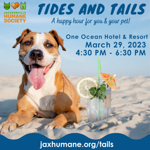 Enjoy a beachside “yappy” hour at Tides and Tails!