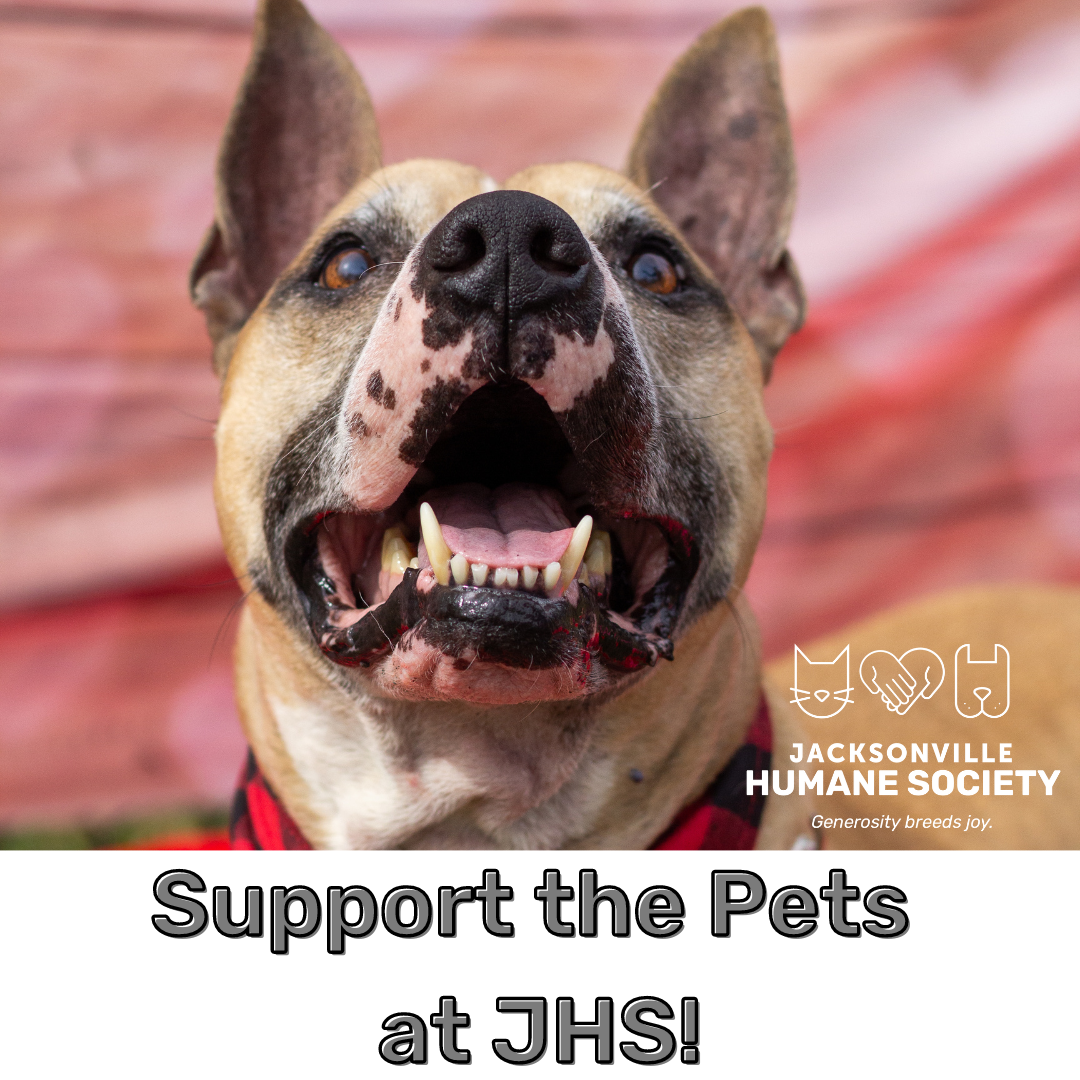Support the Pets at JHS