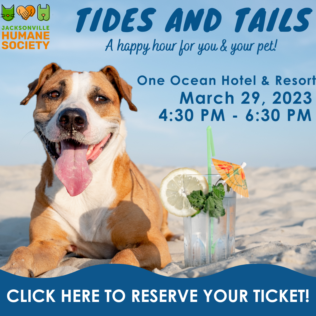 March Tides and Tails Website Popup