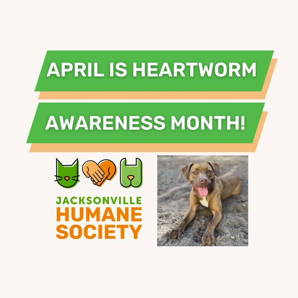 April is Heartworm