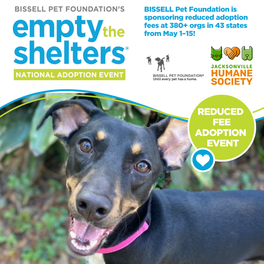 BISSELL Empty the Shelters Spring Adoption Event - Jacksonville Humane ...