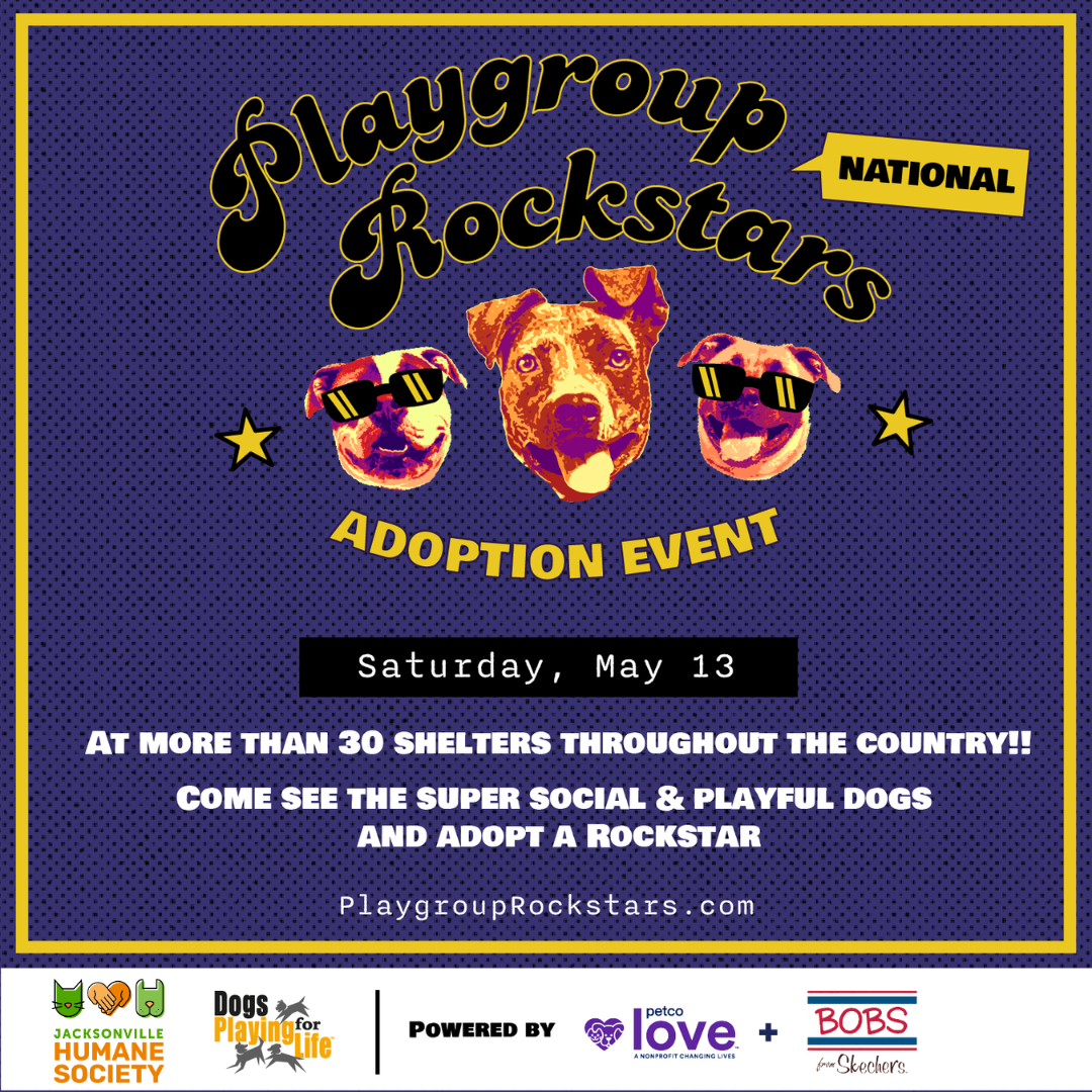 Playgroup Rockstars Adoption Event Graphic
