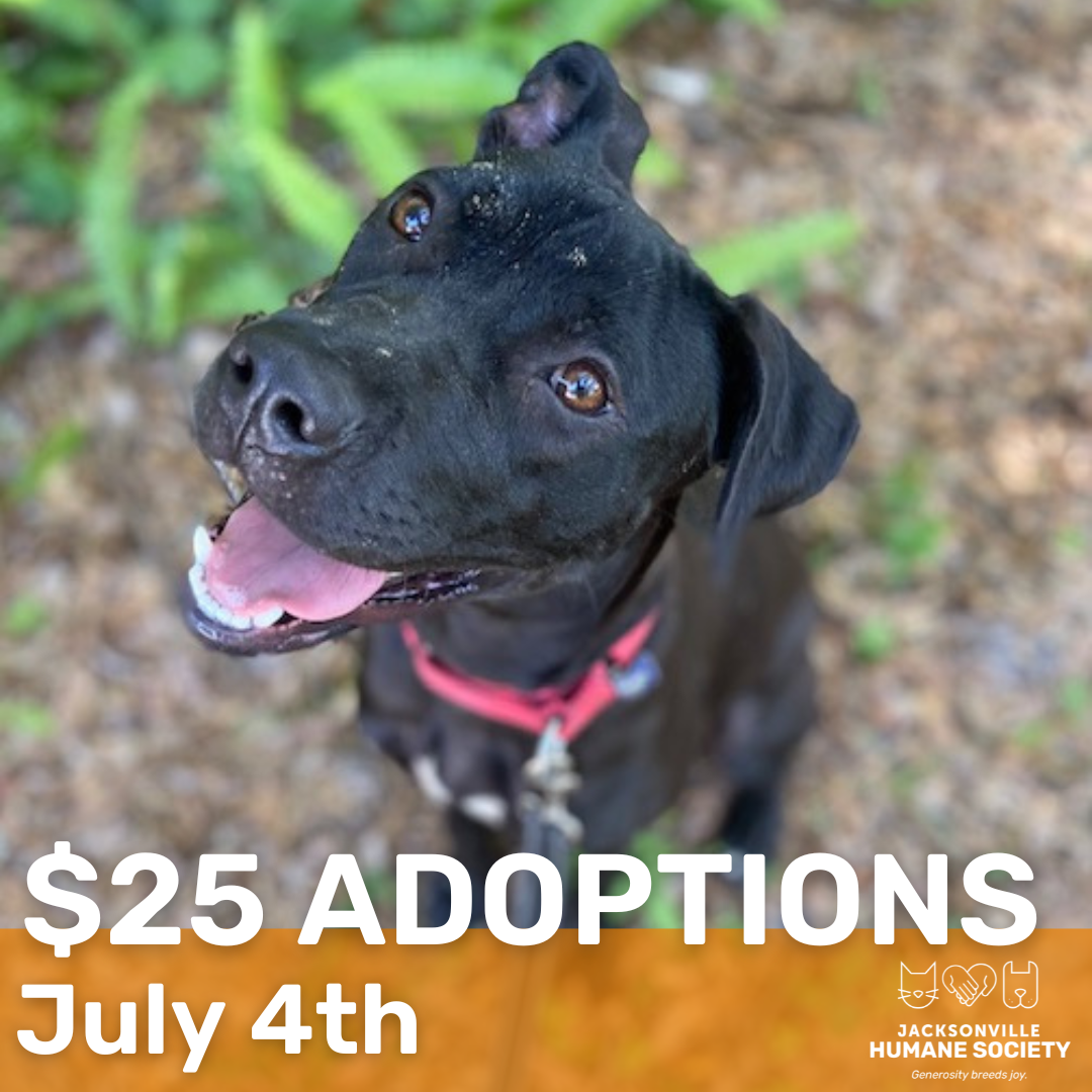 july Adoptions