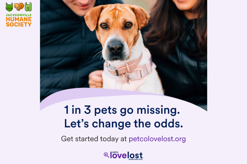 Lost Pet Prevention Cover Image