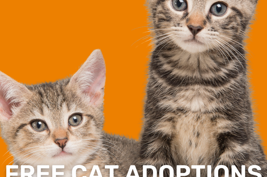 Adoption Event