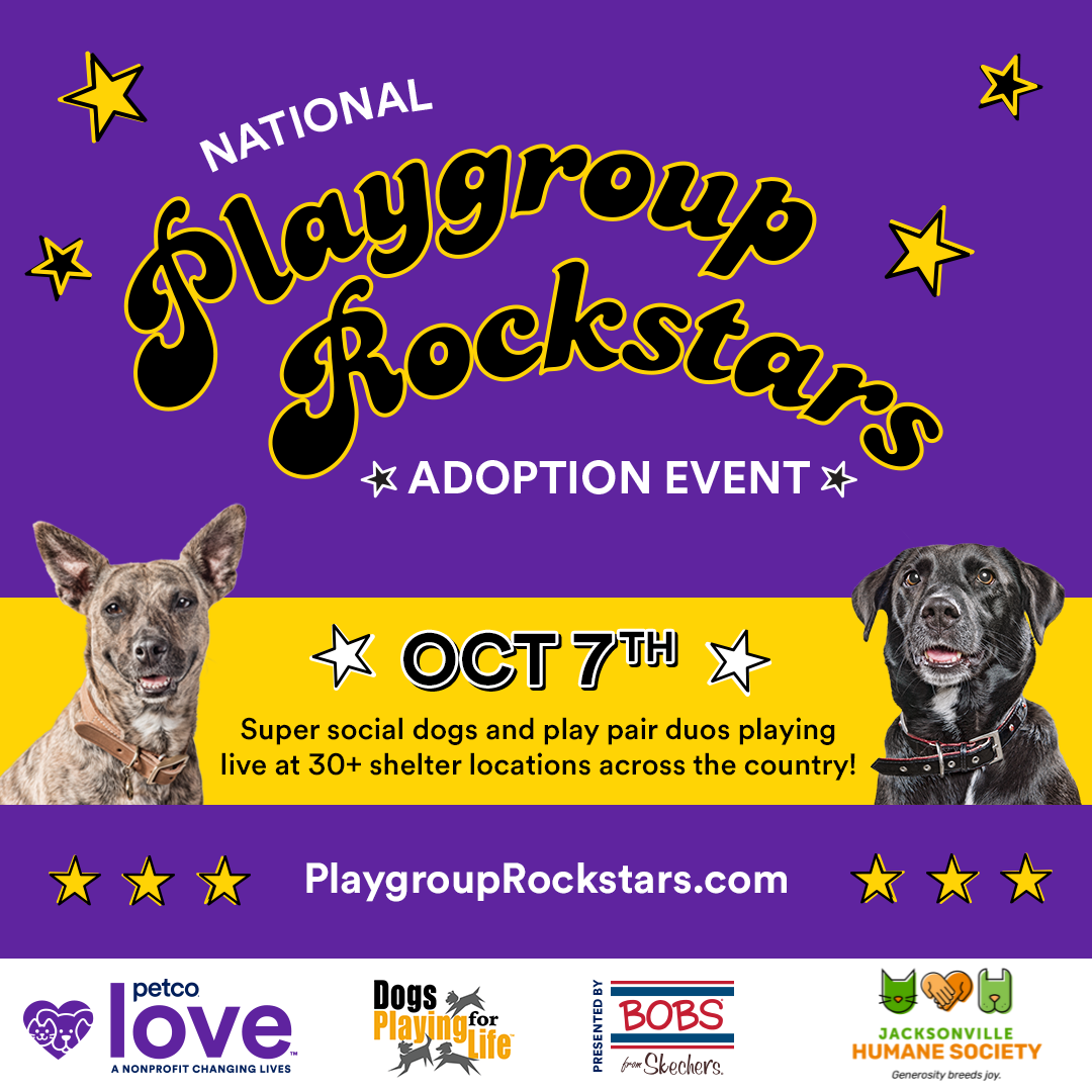 Oct Playgroup Rockstars Event Photo