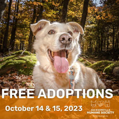 Fall Free Adoption Event