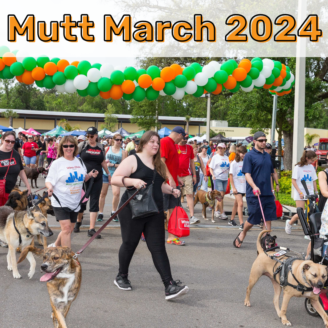Mutt March Event Image