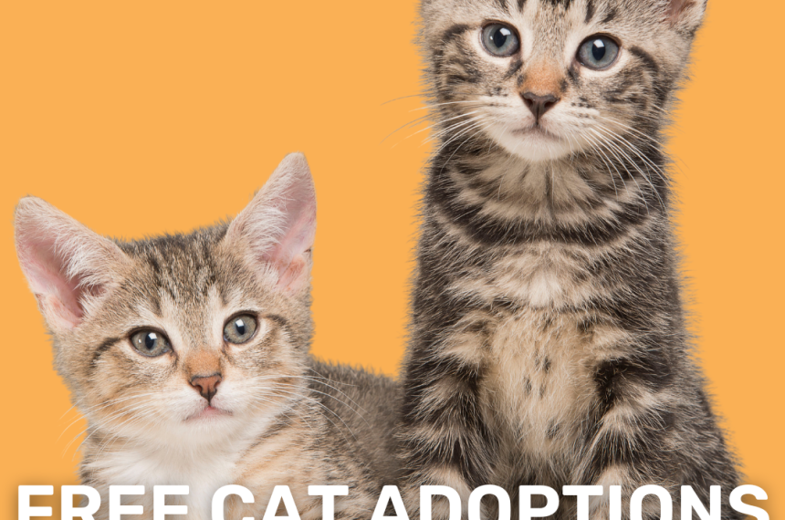 Adoption Event