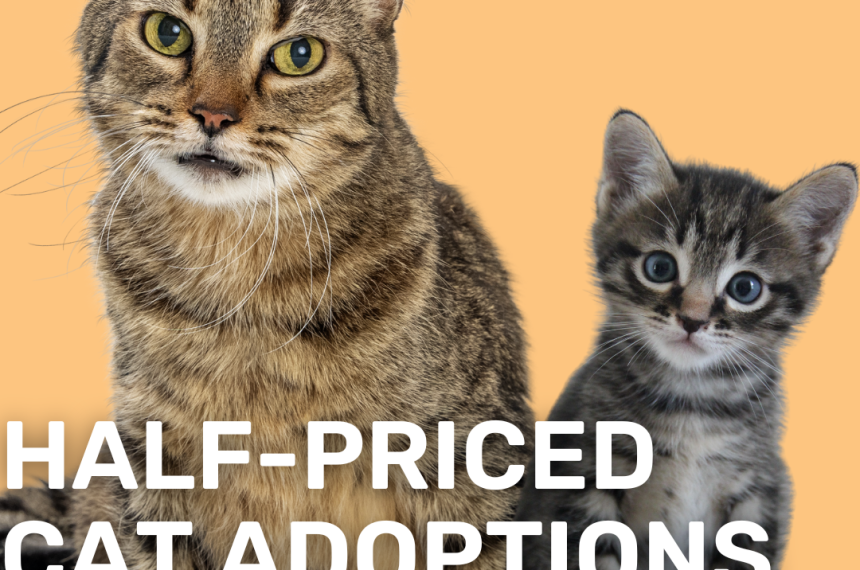Adoption Event