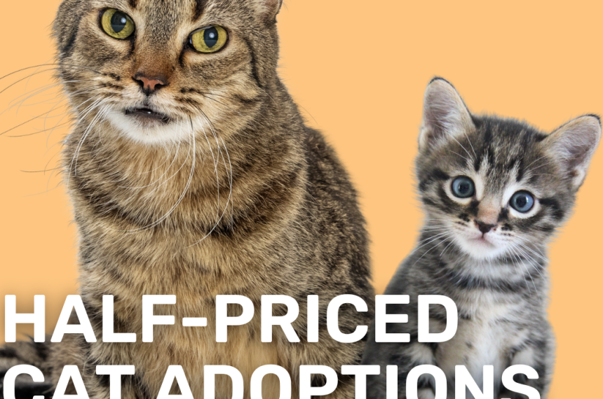 Adoption Event