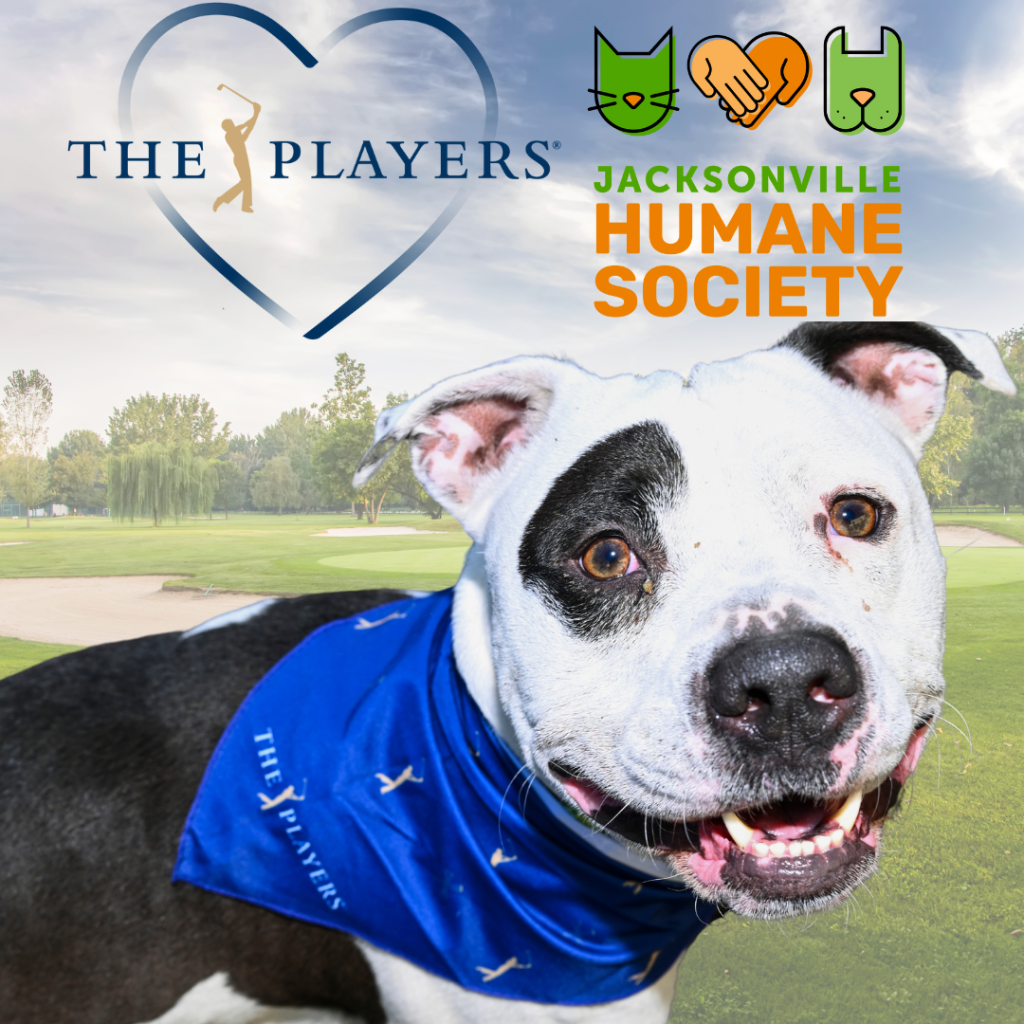 The Players fundraising programs photo for blog