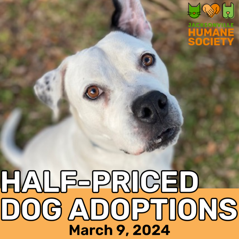 HalfPriced Dog Adoptions PetSmart Northside Jacksonville Humane Society