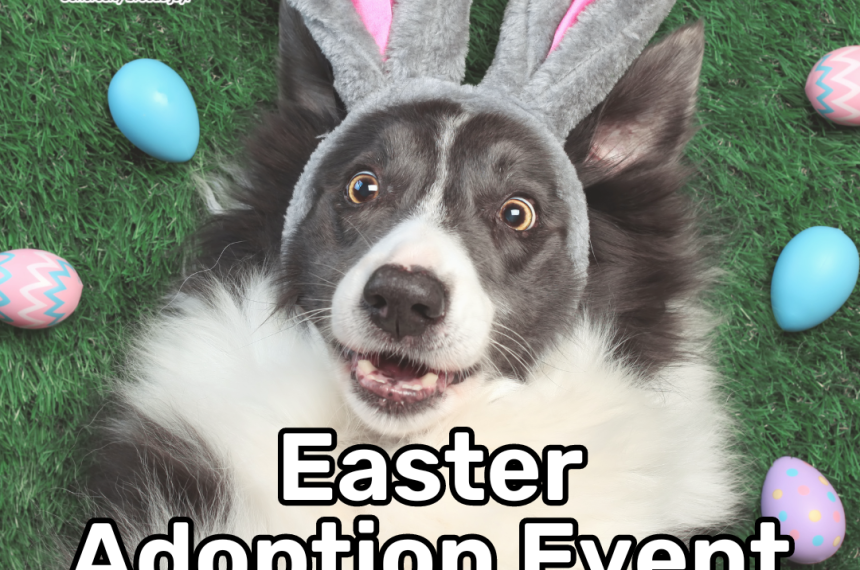 easter adoptions