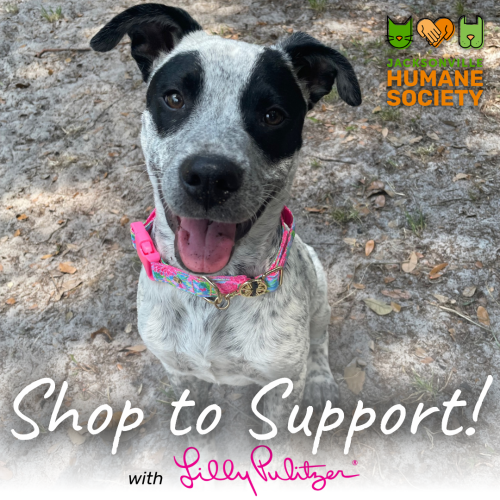 lilly pulitzer lilly pulitzer