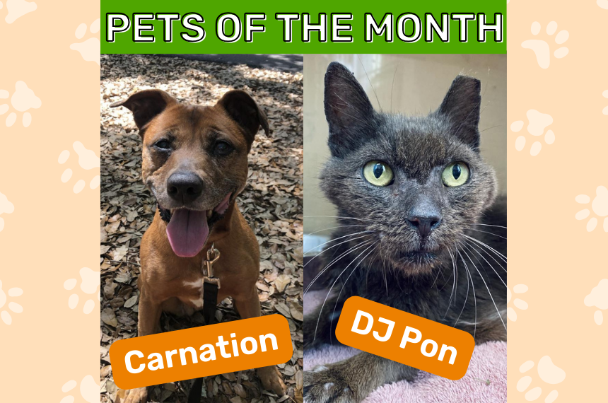 April Pets of the Month