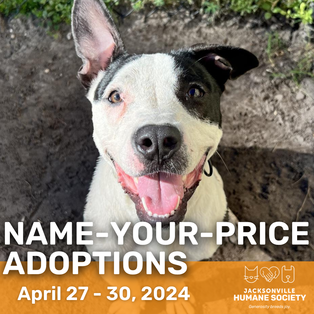 adopt a shelter pet weekend Adoption Event