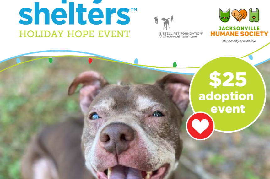 HolidayHope ETS SocialPosts OnePet ()