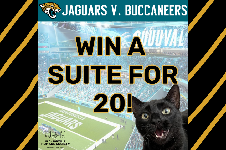 win a suite news post