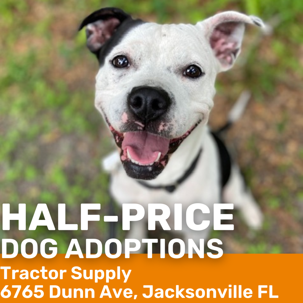 HalfPriced Dog Adoptions Tractor Supply Co Jacksonville Humane Society