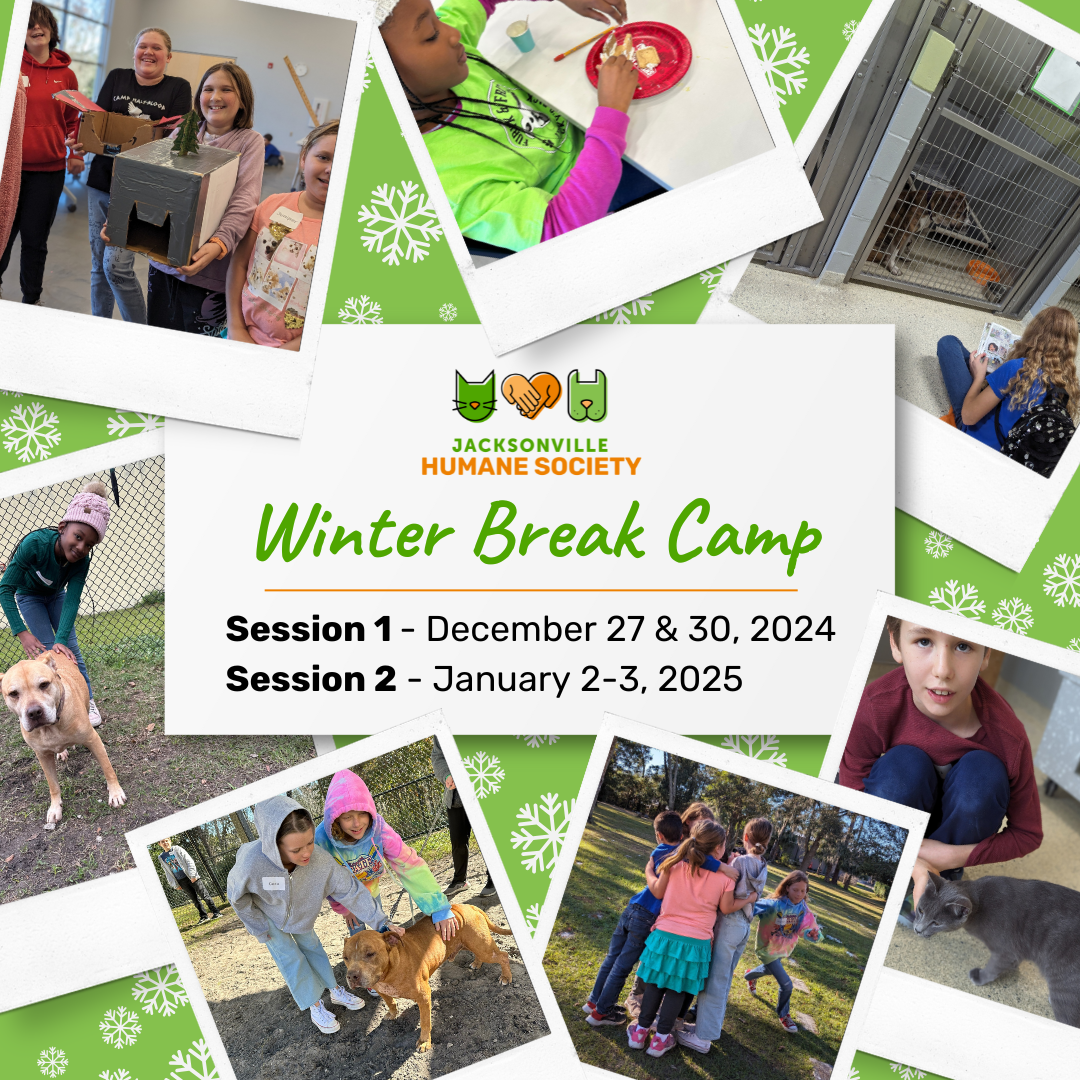 Winter Break Camp