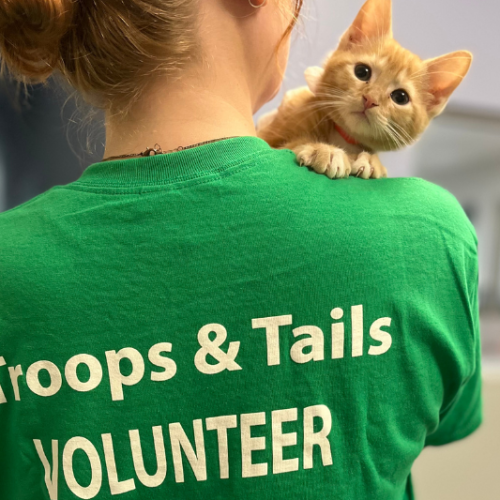 Thanksgiving Socials ()