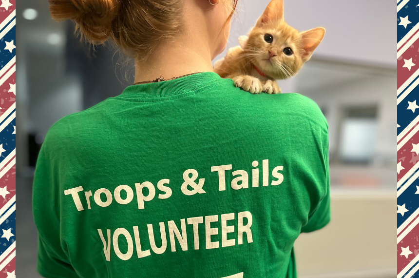 Troops & Tails Blog ()