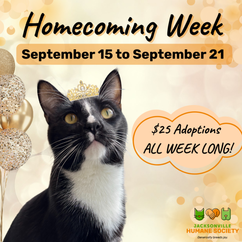 Homecoming Week