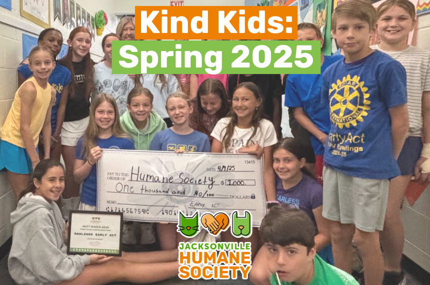 Kind Kids Spring
