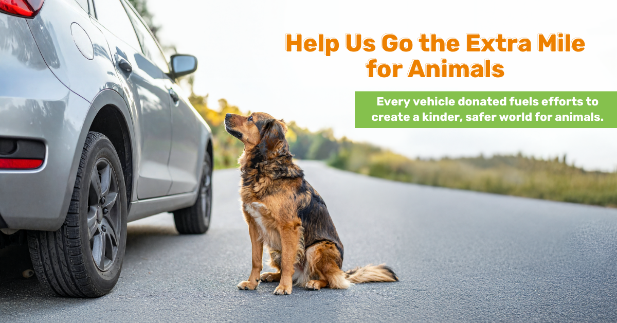 Extra Mile for Animals x Horizontal ()