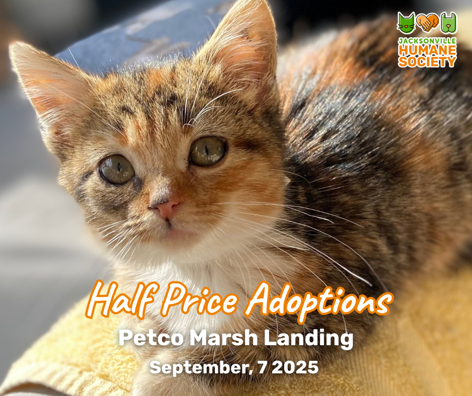 fddaaafcfbaaaf cdbcbfadbafeafc facebook