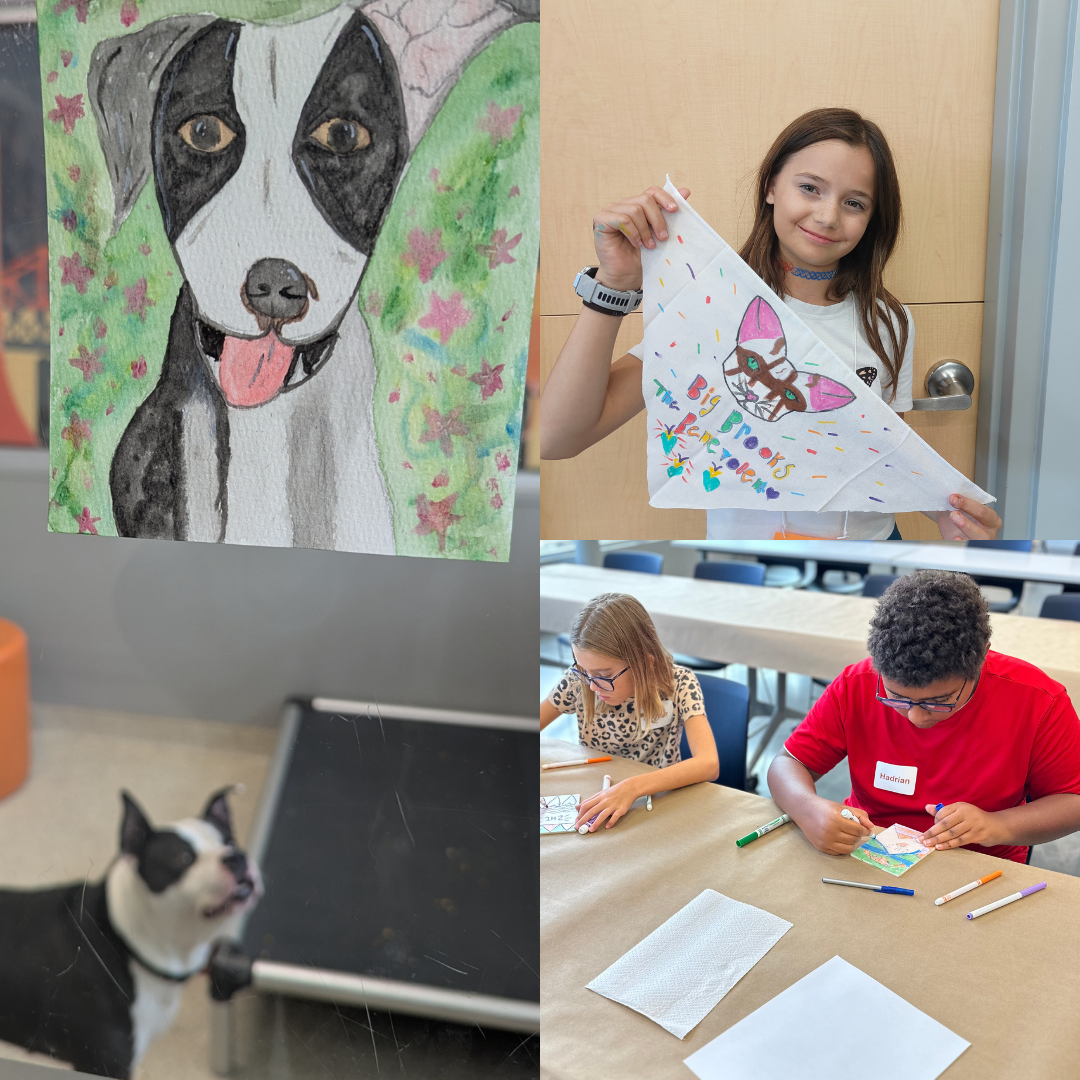 Animal Art Camp